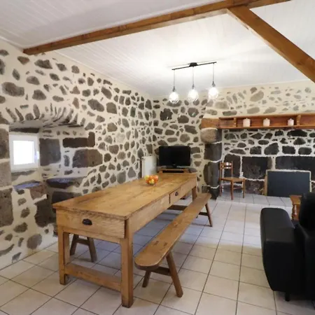 Maison De Caractere Renovee, 3 Chambres, Terrasse, Jardin Clos, Parking Prive, Animaux Acceptes - Fr-1-742-219 * Polminhac